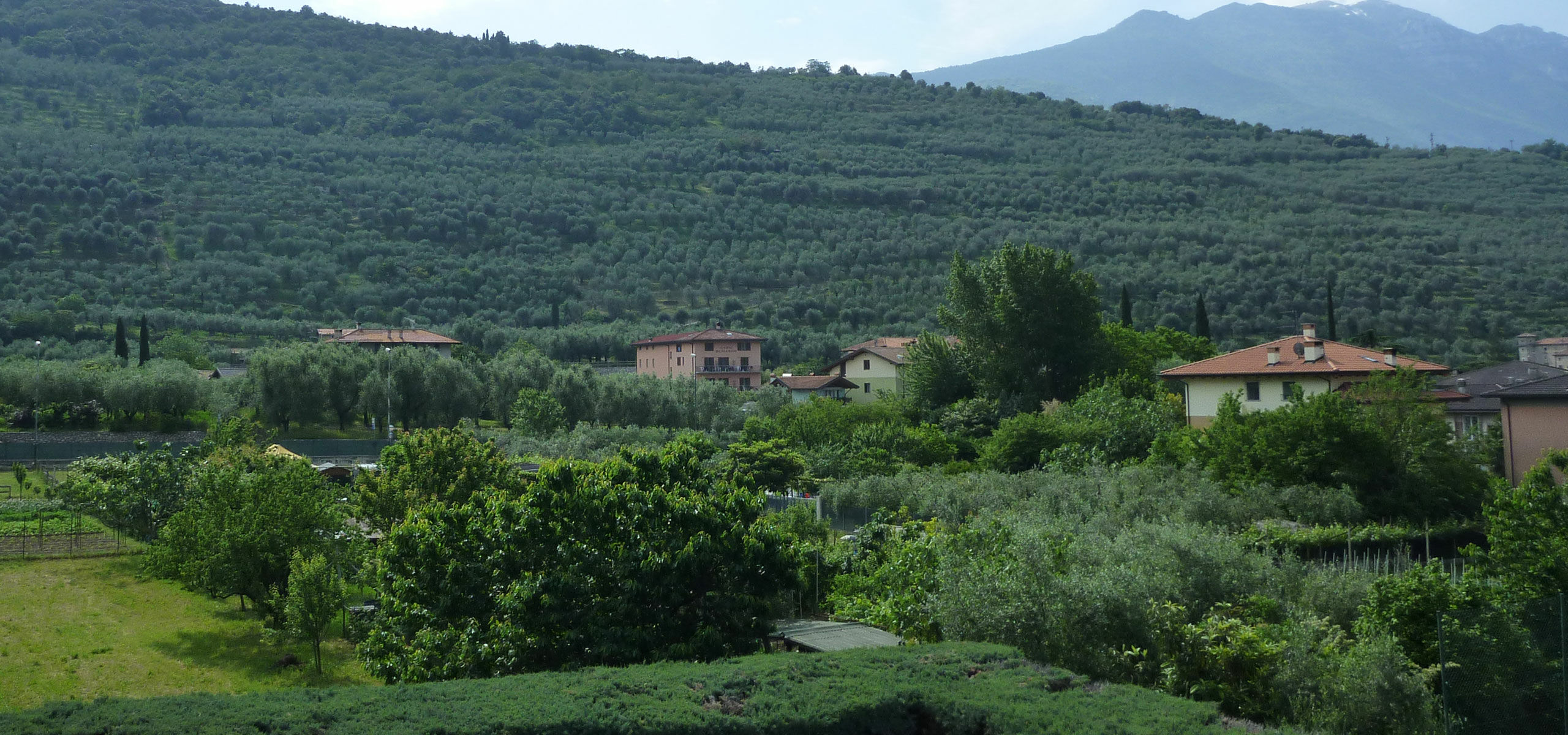 Hotel Diana in Riva del Garda - Destination dedicated to relaxation Hotel Diana | Location - 20240315174715_default.jpg